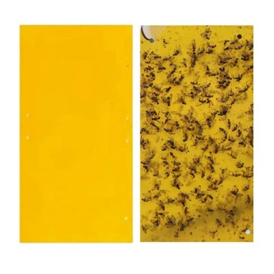 Sticky Trap Board för insekter